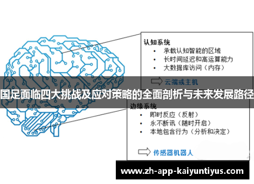 国足面临四大挑战及应对策略的全面剖析与未来发展路径