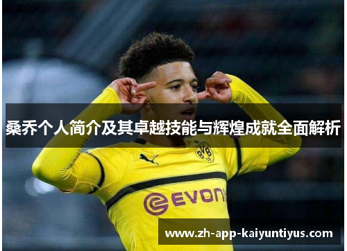 桑乔个人简介及其卓越技能与辉煌成就全面解析