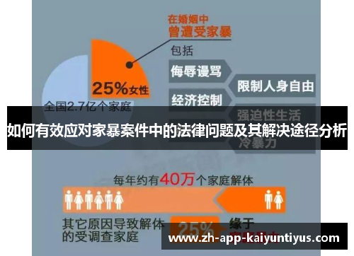 如何有效应对家暴案件中的法律问题及其解决途径分析