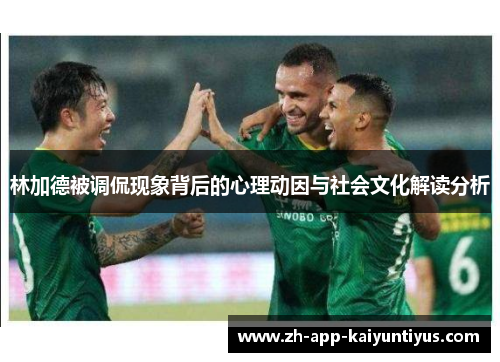 林加德被调侃现象背后的心理动因与社会文化解读分析