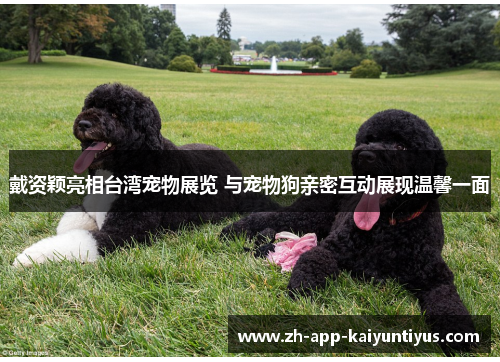 戴资颖亮相台湾宠物展览 与宠物狗亲密互动展现温馨一面