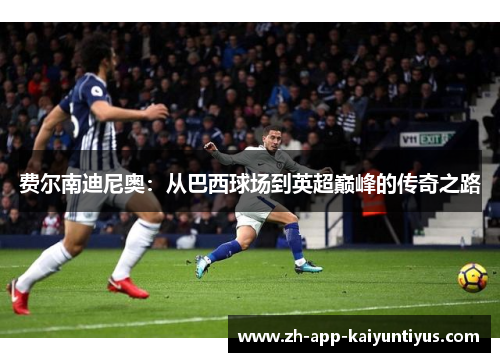 费尔南迪尼奥:从巴西球场到英超巅峰的传奇之路 费尔南迪尼奥:从巴西球场到英超巅峰的传奇之路